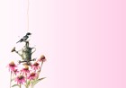 vogel in vogelhuisje tussen rozen